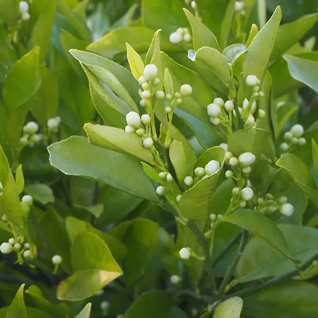 Au Bain Marie Feriehus *