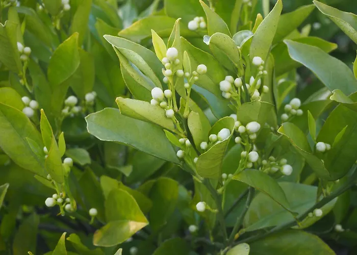 Au Bain Marie Casa vacanze *