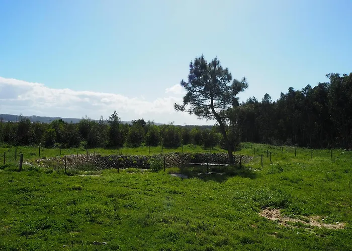 Au Bain Marie Дом отдыха Сан-Мартинью-ду-Порту