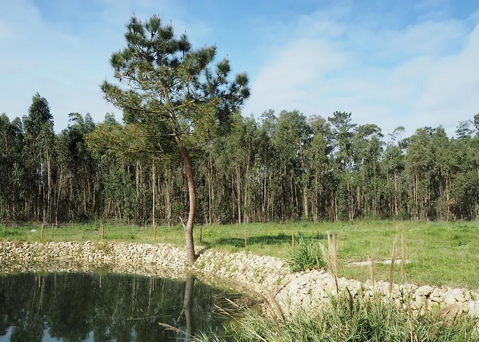 Au Bain Marie * Сан-Мартинью-ду-Порту